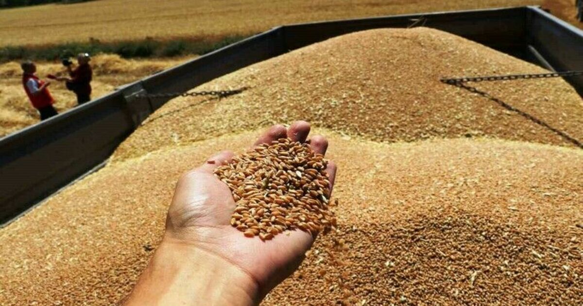 Kuraklığa rağmen ürün rekoltesinde artış
