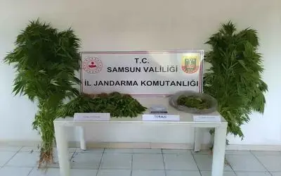 Jandarmadan uyuşturucu operasyonu
