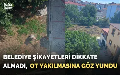 Belediye Ot Yakılmasına Göz Yumdu