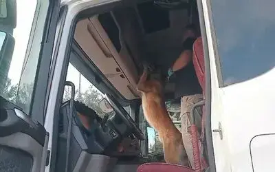 Samsun’da narkotik köpeği ’Sam’ 900 gram metamfetamin yakaladı
