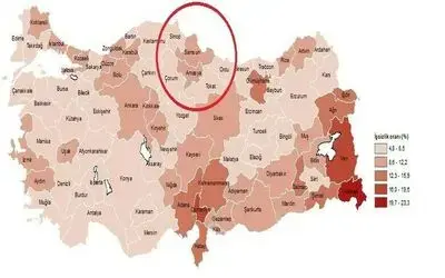 Orta Karadeniz’de en yüksek işsizlik oranı Samsun’da
