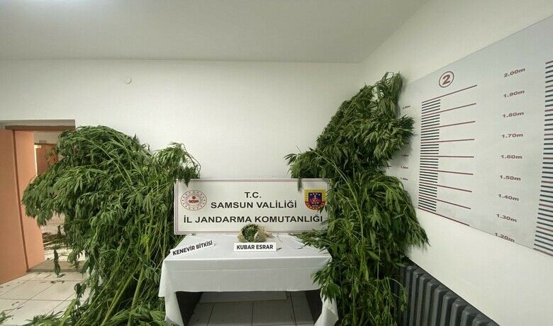 Jandarmadan 2 ayrı uyuşturucu operasyonu
 - Samsun’da jandarma ekipleri tarafından düzenlenen 2 ayrı uyuşturucu operasyonda 2 kişi gözaltına alındı.