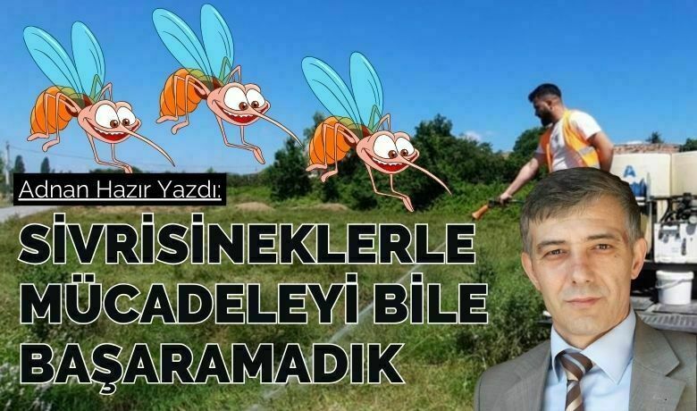 Sivrisineklerle mücadeleyi bile başaramadık