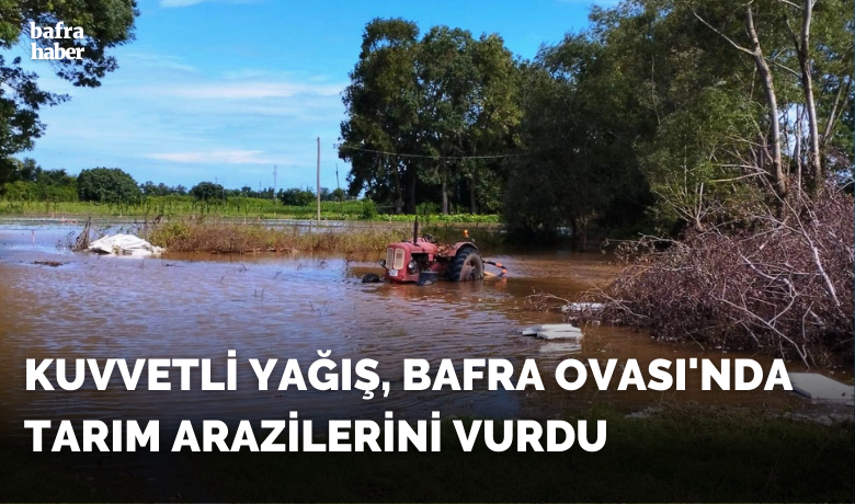 Kuvvetli yağış, BafraOvası’nda tarım arazilerini vurdu