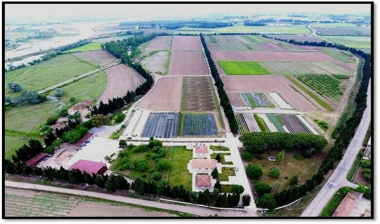 Samsun’da yılda 134 türde üretilen10 milyon fidan Türkiye’yi yeşillendiriyor - Samsun’da bulunan fidanlık müdürlüğü ve buna bağlı şefliklerde yılda 134 türde üretilen 10 milyon fidan, Türkiye’yi yeşillendiriyor.