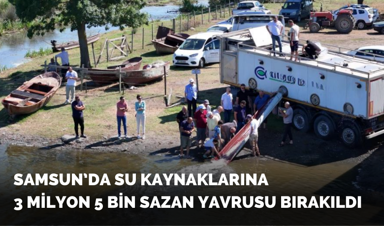 Samsun’da su kaynaklarına 3 milyon5 bin sazan yavrusu bırakıldı