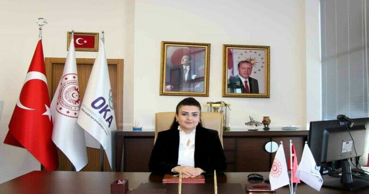 Mehlika Dicle, OKA Genel Sekreterliğine asaleten atandı
