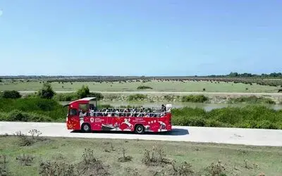 Tesisler hizmete açıldı, Kuş Cenneti’ne ilgi arttı