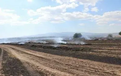 Samsun’da anız yangını: 150 dekar alan zarar gördü

