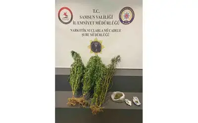 Evinde kubar esrar ele geçirilen şahıs tutuklandı
