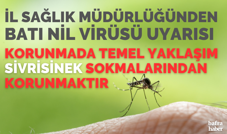 Sağlık Müdürlüğünden ’batı Nil virüsü’ uyarısı - Samsun İl Sağlık Müdürlüğü tarafından ’batı Nil virüsü’ uyarısı yapıldı.