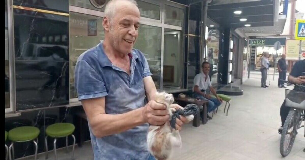 Aracın altına giren kedi kurtarıldı