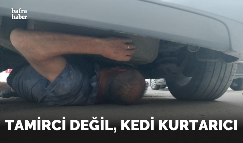 Aracın altına giren kedi kurtarıldı