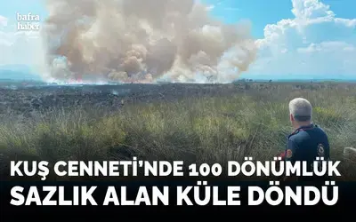 Kuş Cennet’inde 100 Dönümlük Sazlık Alan Küle Döndü