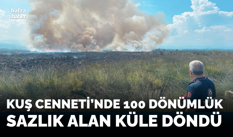 Kuş Cennet’inde 100 DönümlükSazlık Alan Küle Döndü - Samsun'da, UNESCO Dünya Mirası Geçici Listesi'nde yer alan Kızılırmak Deltası Kuş Cenneti'nde sazlık alanda çıkan yangın ekipler tarafından söndürüldü.