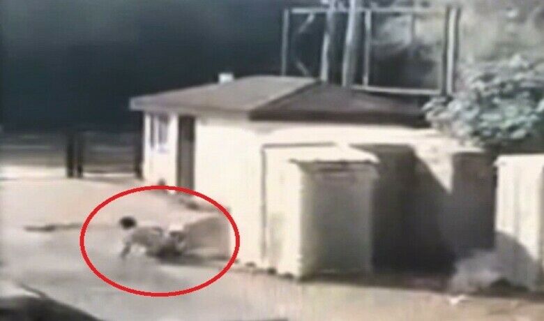 Köpeğin saldırma anı kamerada - Samsun’da bir şahsı, bekçi köpeğin saldırarak yaraladığı olayın güvenlik kamera görüntüleri ortaya çıktı.