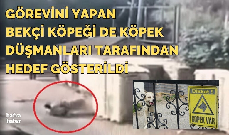 Köpeğin saldırma anı kamerada