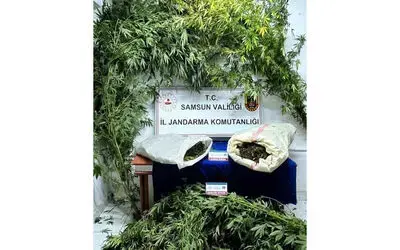 Samsun’da jandarma 8 kilo kubar esrar ele geçirdi
