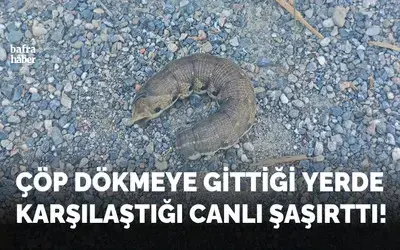 Çöp Dökmeye Gittiği Yerde Karşılaştığı Canlı Şaşırttı!