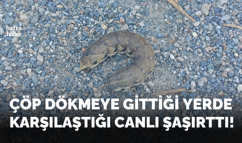 Çöp Dökmeye Gittiği Yerde Karşılaştığı Canlı Şaşırttı!