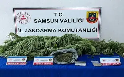 Jandarma ekiplerince uyuşturucu madde ele geçirildi
