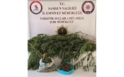 İkametinden bin 248 gram esrar çıktı, tutuklandı
