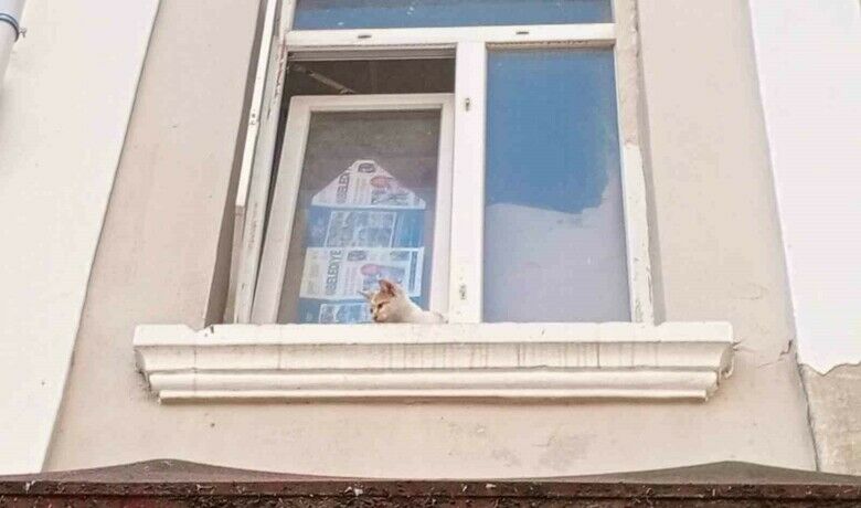 Cama ayağı sıkışan kedi kurtarıldı - Samsun’un Bafra ilçesinde yarı açık pencerede sıkışan kedi, itfaiye ekipleri tarafından kurtarıldı.