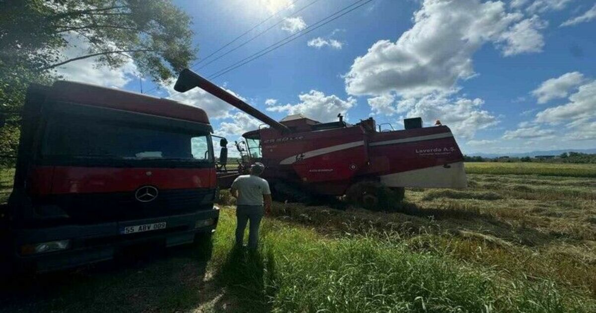 Tarım ekiplerinden saha kontrolleri

