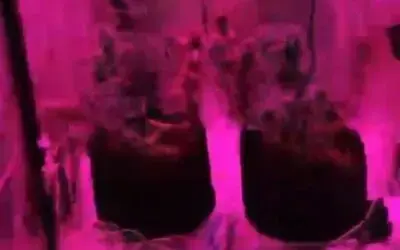 Evinde özel iklimlendirme düzeneğiyle uyuşturucu imal eden şahıs yakalandı
