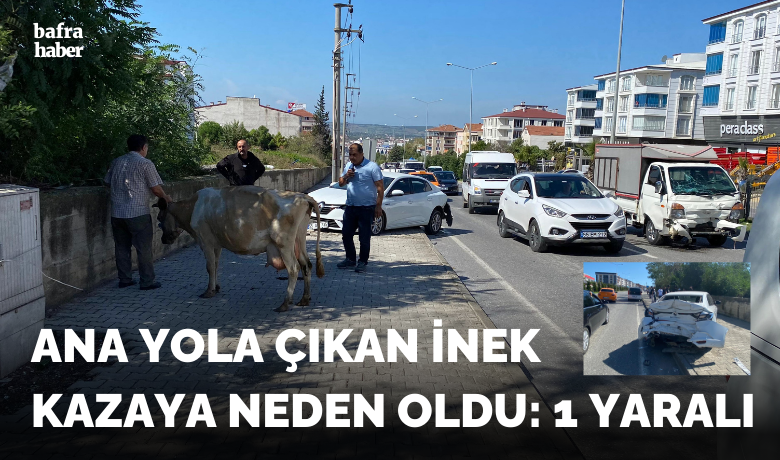 Ana yola çıkan büyükbaş hayvankazaya neden oldu: 1 yaralı