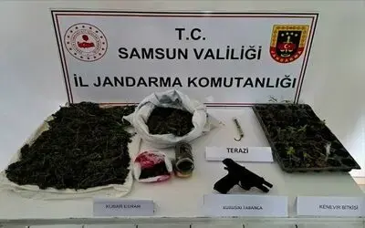 Jandarmadan uyuşturucu operasyonu: 1 kilo 471 gram skunk ele geçirildi
