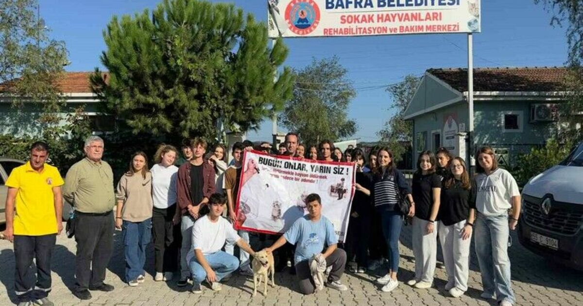 Barınaktan okula sevimli dost