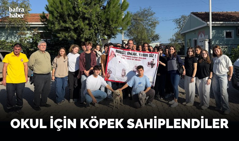 Barınaktan okula sevimli dost