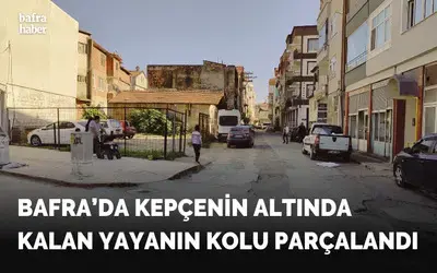 Bafra’da Kepçenin Altında Kalan Yayanın Kolu Parçalandı