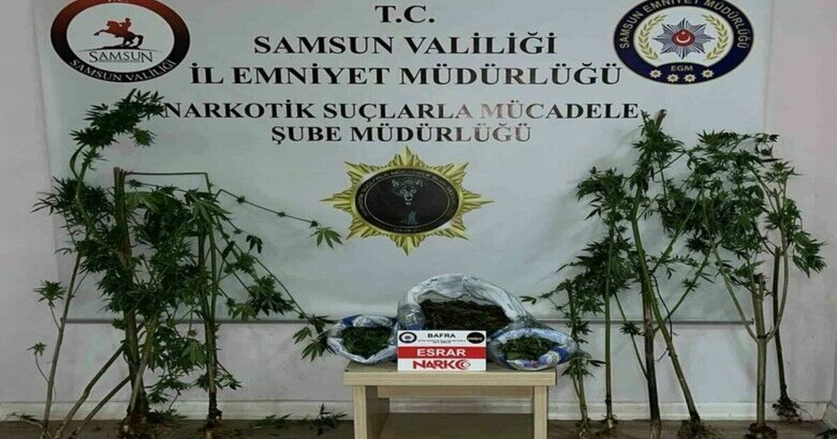 Bafra’da uyuşturucu operasyonu: 2 gözaltı