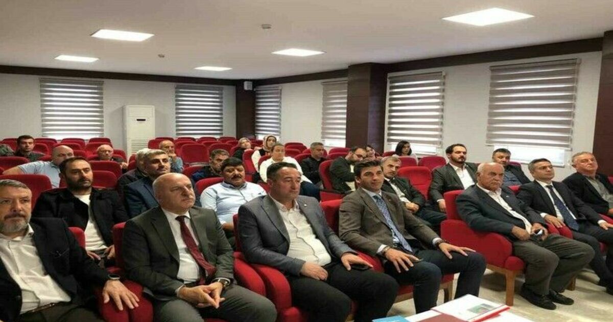 Bafra’da kahverengi kokarca ile mücadele
