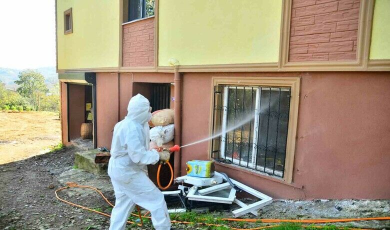Vatandaşlar kokarcayla mücadelebaşlattı, 550 ev ilaçlandı - Samsun’da mahalleli bir araya gelerek satın aldığı ilaçla kahverengi kokarca zararlısına karşı mücadele başlattı, 550 hane ilaçlandı.