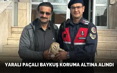 Yaralı Paçalı Baykuş Koruma Altına Alındı