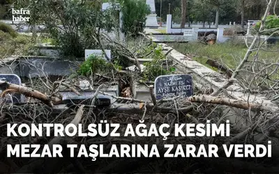 Kontrolsüz Ağaç Kesimi Mezar Taşlarına Zarar Verdi