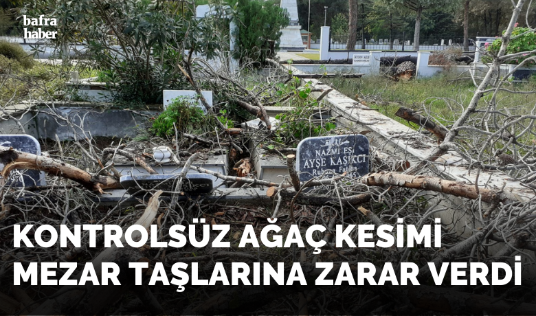 Kontrolsüz Ağaç Kesimi Mezar Taşlarına Zarar Verdi