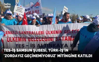 Tes-iş Samsun Şubesi, Türk-iş'in 'Zordayız Geçinemiyoruz' Mitingine Katıldı