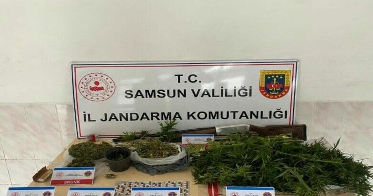 Jandarmadan Gümüşyaprak köyünde uyuşturucu operasyonu