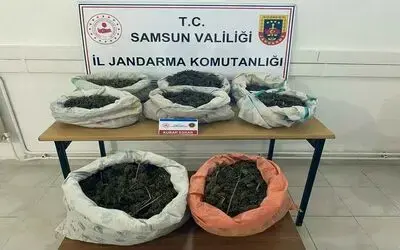 Ormanlık alandaki çadırda 8,5 kilo esrar ele geçirildi