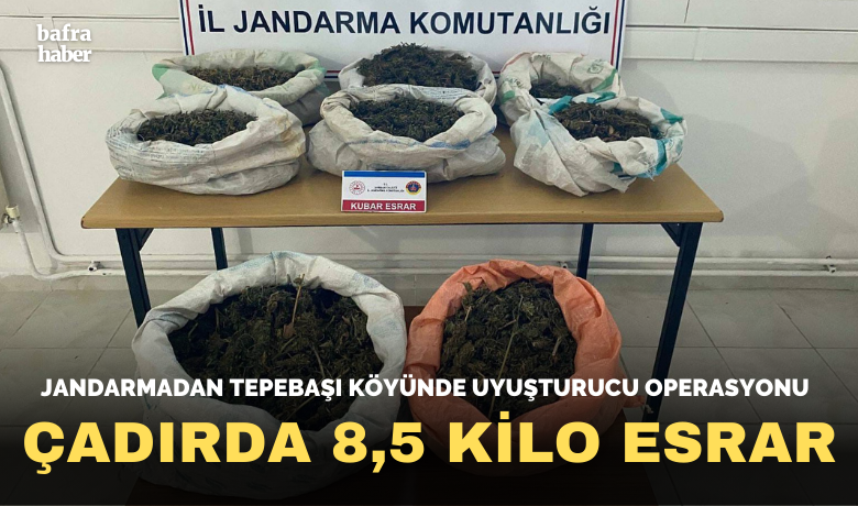 Ormanlık alandaki çadırda 8,5kilo esrar ele geçirildi