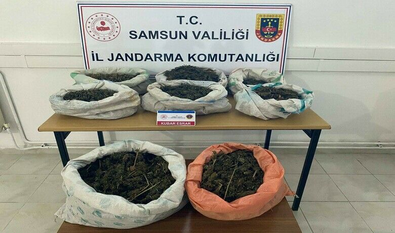 Ormanlık alandaki çadırda 8,5kilo esrar ele geçirildi - Bafra’da jandarma ekipleri tarafından düzenlenen uyuşturucu operasyonunda ormanlık alandaki çadır içinde 8 kilo 525 kilo kubar esrar ele geçirildi.