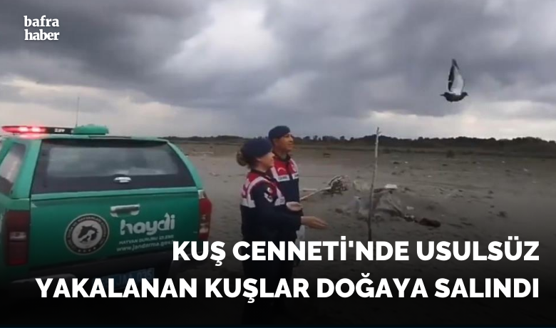 Kuş Cenneti’nde usulsüzyakalanan kuşlar doğaya salındı