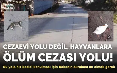 Cezaevi Yolu Değil, Hayvanlara Ölüm Cezası Yolu!