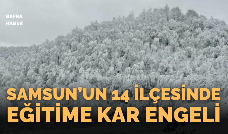 Samsun’un 14 ilçesinde eğitime kar engeli - Samsun’da etkili olan kar yağışı ve buzlanma nedeniyle 3 ilçenin tamamında,  eğitime 1 gün ara verildi.