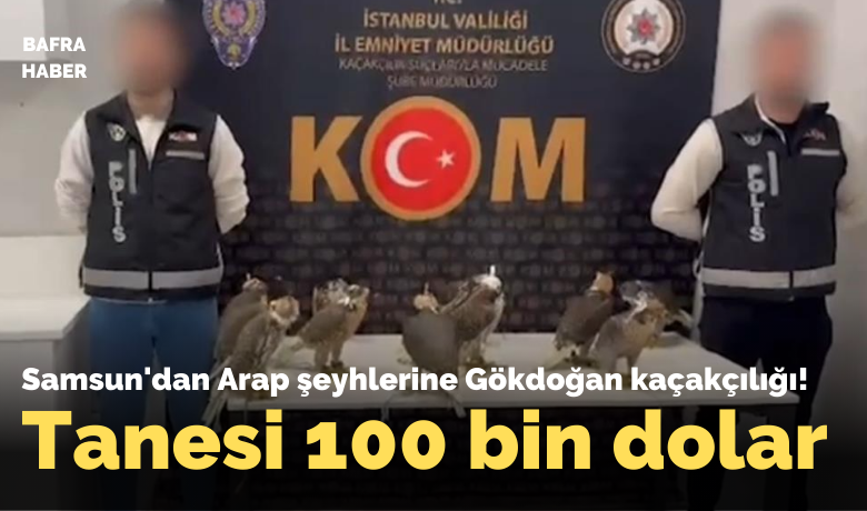 Samsun'dan Arap Şeyhilerine Gökdoğan Kaçakçılığı