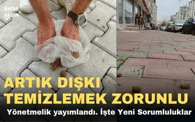 Evcil Hayvan Sahiplerine Yeni Dönem: Sorumluluklar Ve Kurallar Artıyor!